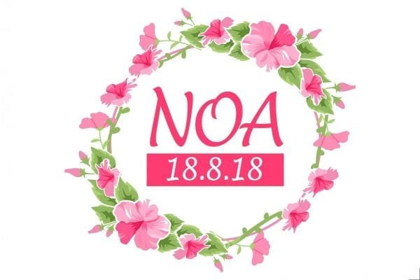 תיק שרוך ממותג