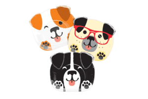 צלחות ליום הולדת